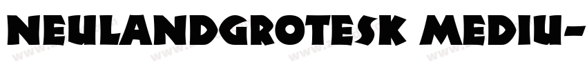 NeulandGrotesk Mediu字体转换